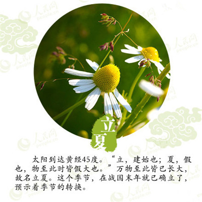 立夏來臨,液化氣儲(chǔ)罐廠家為你分享立夏如何養(yǎng)生