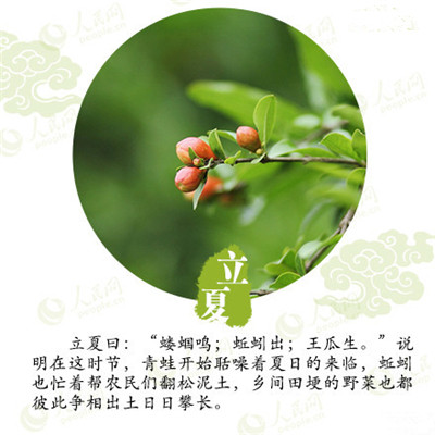 立夏來臨,液化氣儲(chǔ)罐廠家為你分享立夏如何養(yǎng)生