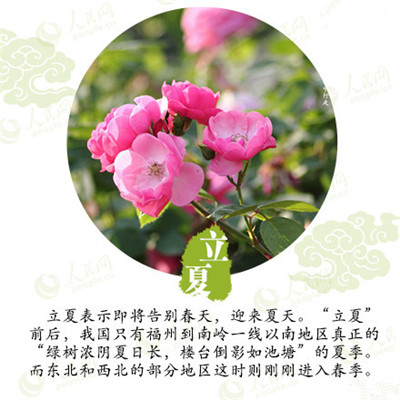 立夏來臨,液化氣儲(chǔ)罐廠家為你分享立夏如何養(yǎng)生