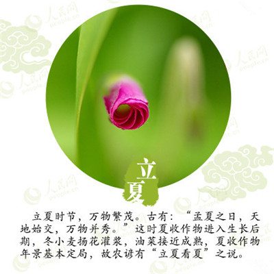 立夏來臨,液化氣儲(chǔ)罐廠家為你分享立夏如何養(yǎng)生